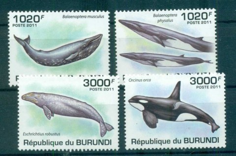 Burundi-2012-Marine-Life_4