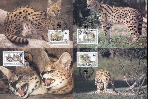Burundi-1992 WWF Serval Maxicards