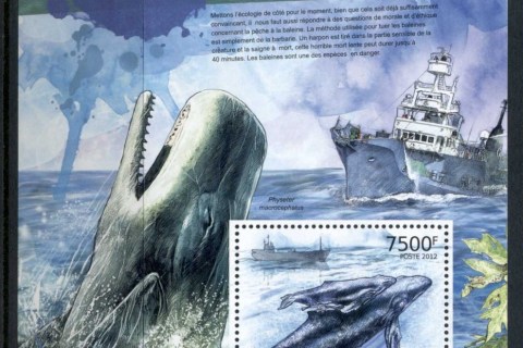 Burundi-2012 Save the Whales MS
