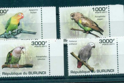 Burundi-2011-Birds