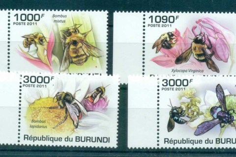 Burundi-2011-Insects