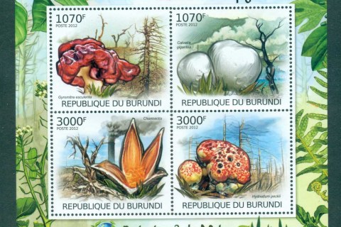 Burundi-2012-Funghi