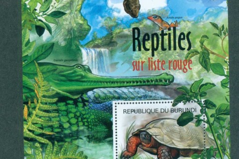 Burundi-2012-Reptiles