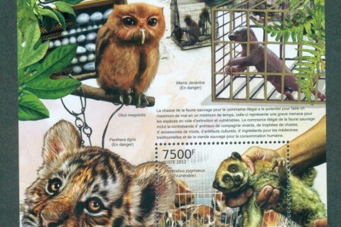 Burundi-2012-Wildlife