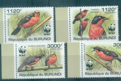 Burundi-2011-Bird