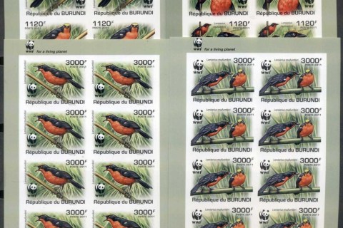 Burundi-2011-WWF-Birds