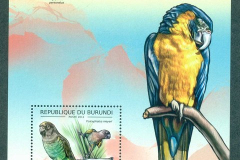 Burundi-2012-Birds_3
