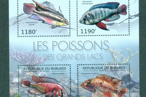 Burundi-2012-Fish_2