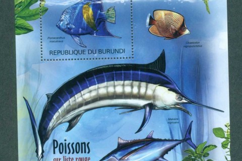 Burundi-2012-Fish_4