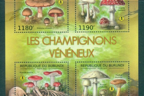 Burundi-2012-Funghi_1