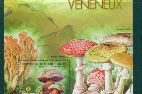 Burundi-2012-Funghi_2