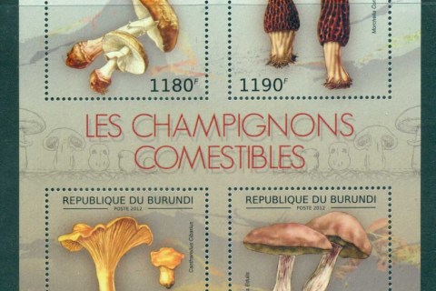 Burundi-2012-Funghi_3