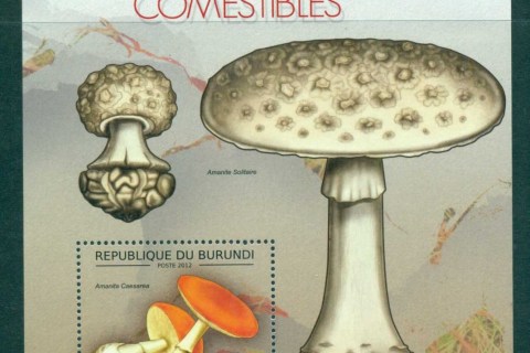 Burundi-2012-Funghi_4