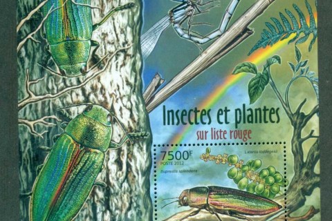 Burundi-2012-Insects