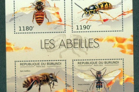 Burundi-2012-Insects_1