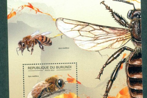Burundi-2012-Insects_2