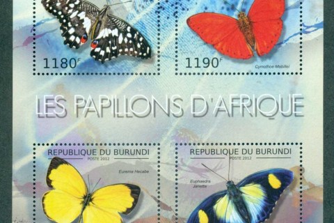 Burundi-2012-Insects_3