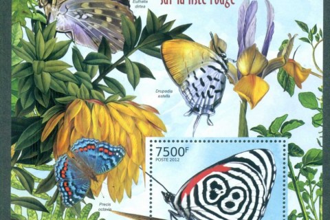 Burundi-2012-Insects_5