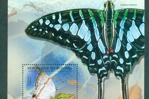 Burundi-2012-Insects_6