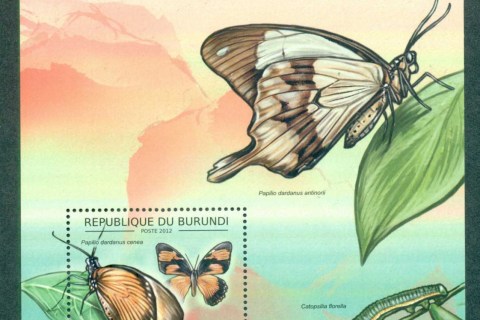 Burundi-2012-Insects_7