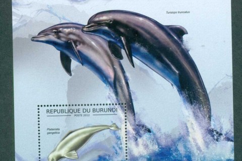 Burundi-2012-Marine-Life_2