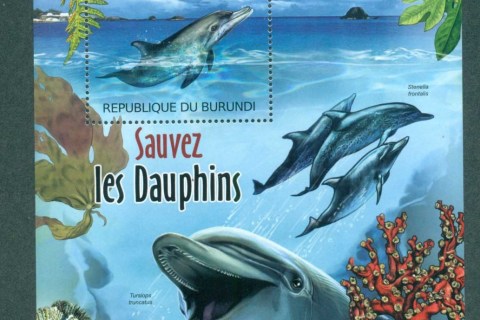 Burundi-2012-Marine-Life_3