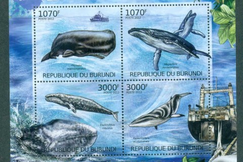 Burundi-2012-Marine-Life_5