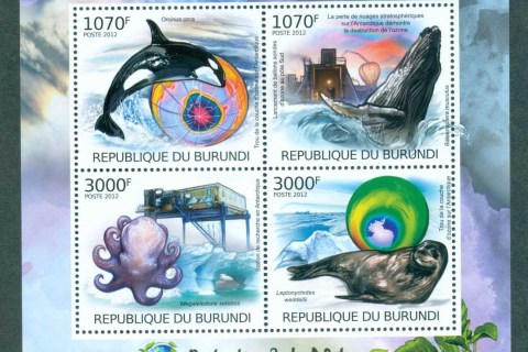 Burundi-2012-Marine-Life_8