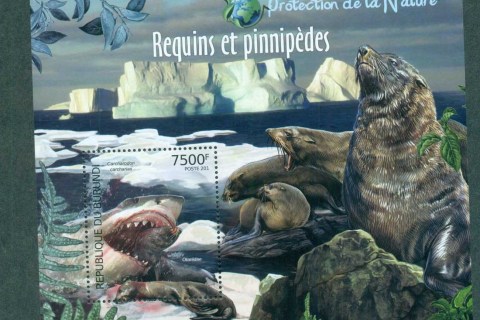 Burundi-2012-Marine-Life_9