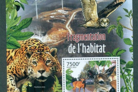 Burundi-2012-Wildlife_3