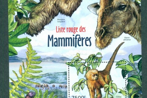 Burundi-2012-Wildlife_7