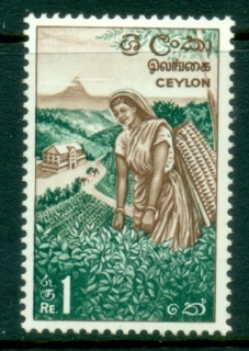 Ceylon-1964-69-Pictorial-1R-Tea-Picking-MLH