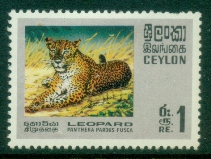 Ceylon-1970-Wildlife-1R-Leopard-MLH