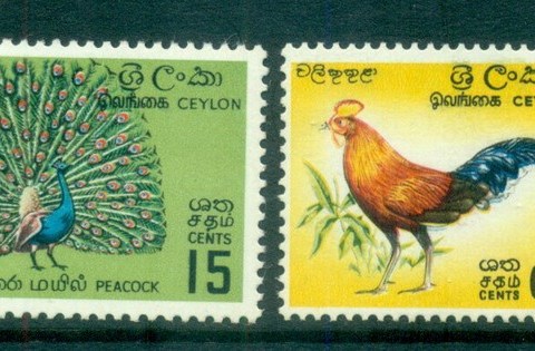 Ceylon-1966-Birds