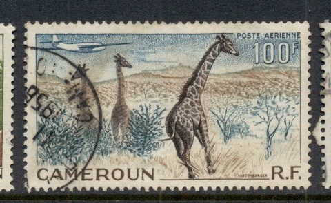 Cameroun 1955 Logging, Giraffes, Port Douglas