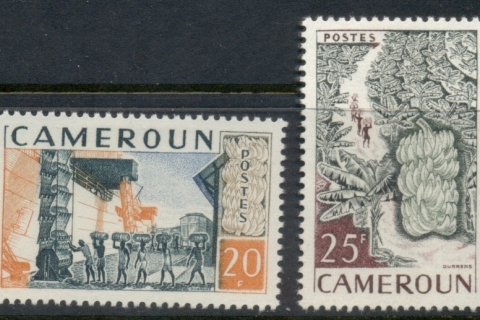 Cameroun 1959 Harvesting Bananas