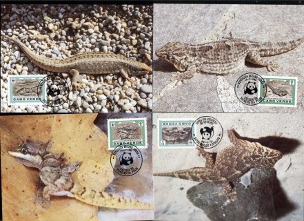 Cape Verde 1986 WWF Desert Island Lizards4xMaxicard