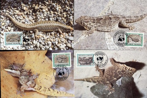 Cape Verde 1986 WWF Desert Island Lizards4xMaxicard