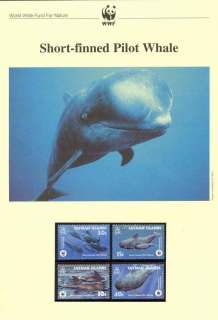 Cayman-Is-2003 WWF Short Finned Pilot Whale