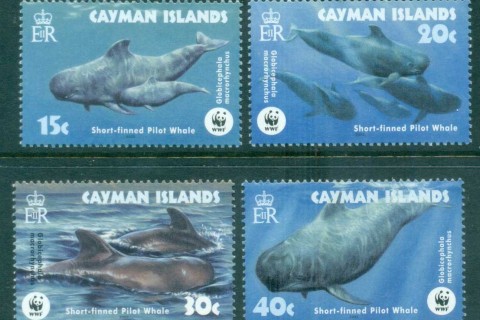 Cayman-Is-2003 WWF Short Finned Pilot Whale