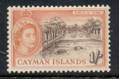 Cayman-Is-1953-59-QEII-Pictorial-1-Turtle-Crawl-MLH