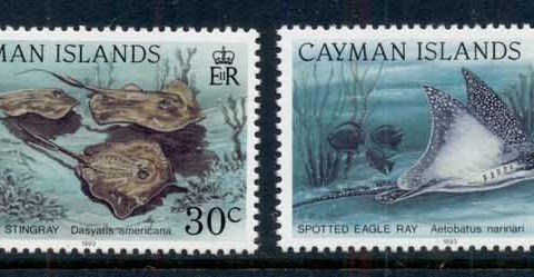 Cayman-Is-1993-Marine-Life