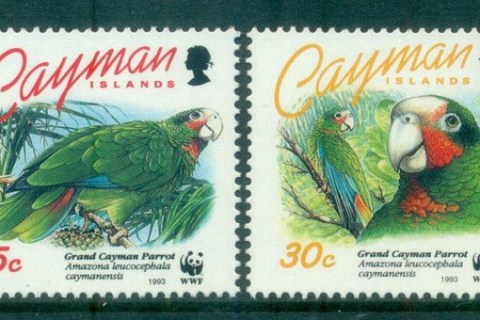 Cayman-Is-1993-WWF-Birds