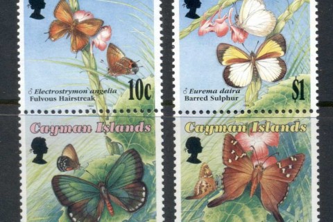 Cayman-Is-1994-Insects