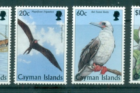Cayman-Is-1998-Birds-MUH