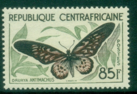 Central-African-Republic-1960-Insects-Butterflies-85fr-Drurya-antimachus-MUH Central-African-Republic-1960-Insects-Butterflies-85fr-Drurya-antimachus-MUH