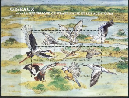 Central-African-Republic-2000-Birds-2