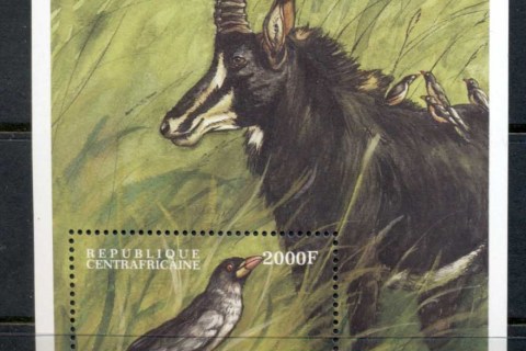 Central-African-Republic-2000 Birds MS