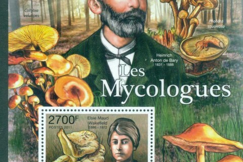 Central-African-Republic-2011-Funghi