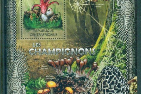 Central-African-Republic-2012-Funghi